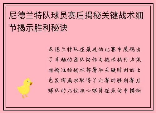 尼德兰特队球员赛后揭秘关键战术细节揭示胜利秘诀